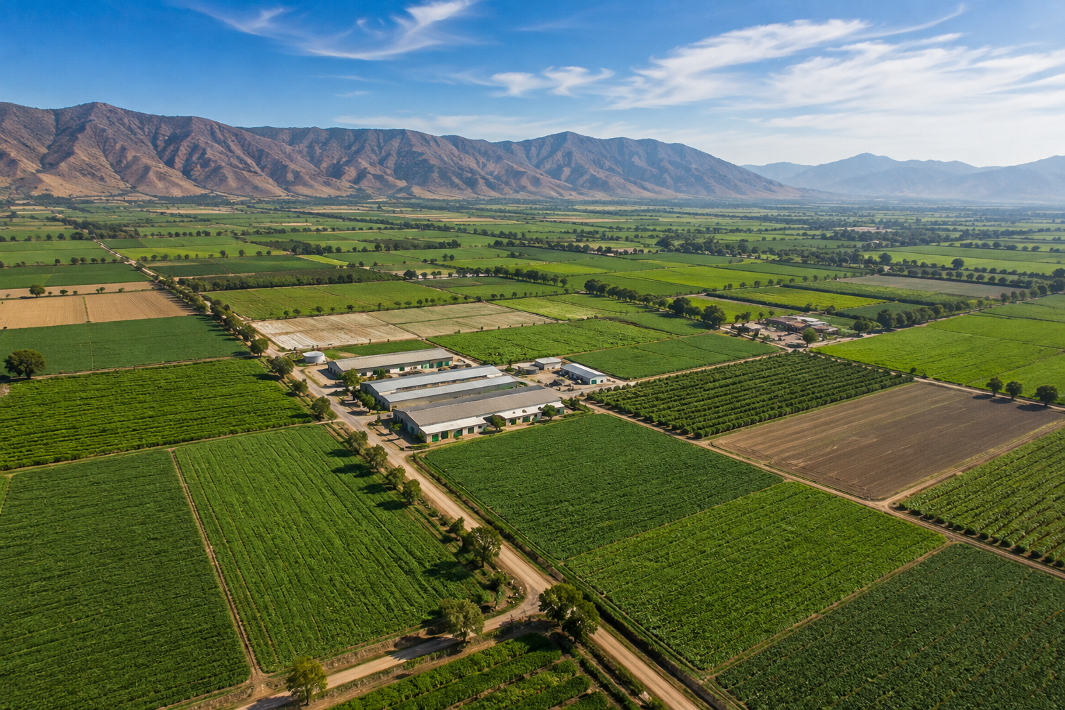 Agricultural fields